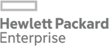 Graphic of HPE Partner Logo
